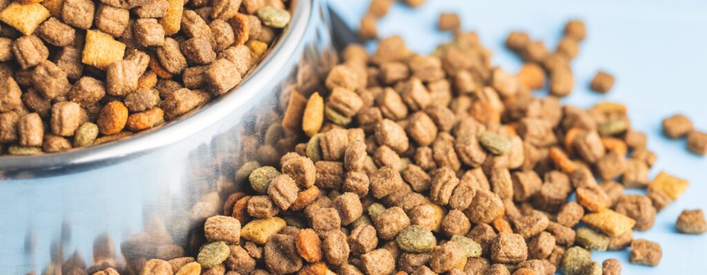 Sucha karma dla kota