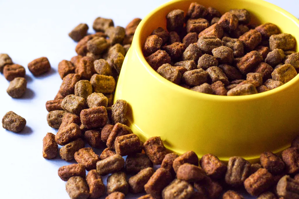 Sucha karma dla kota w żółtej misce
